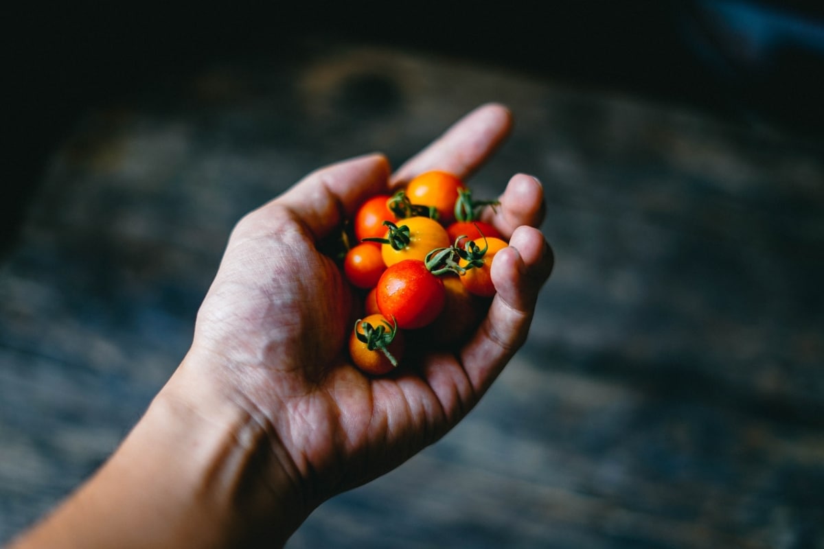 Cherry tomatoes can be stored in a jar