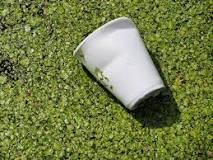 How to make waterproof biodegradable plastic?