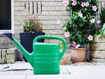 How should the care of ornamental plants be?