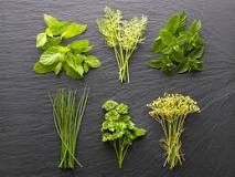 How many aromatic herbs are there?