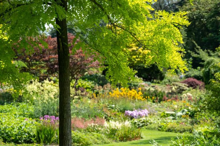 Learn all about this low maintenance garden style