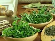 Which herb is used for kidney infection? Which herb is used for kidney infection?