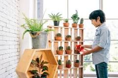 How to take care of medicinal plants? How to take care of medicinal plants?
