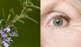 How is rosemary used for wrinkles?