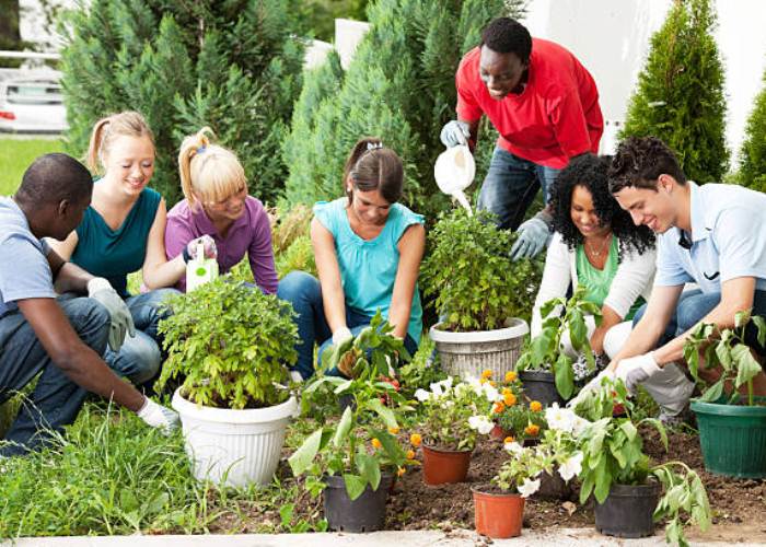 reasons why gardening is good for your health