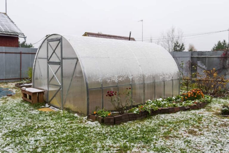 How to Create the Perfect Four-Season Garden for Year-Round Dining