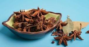 When do you plant star anise?