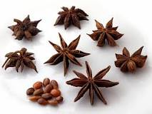 How tall is star anise?