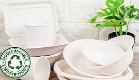 What are the disadvantages of biodegradable products?