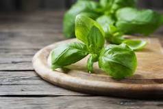 Where is basil used?
