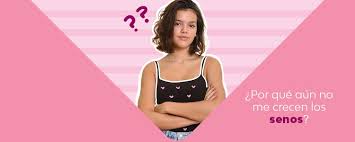 Why are your breasts not growing? Why are your breasts not growing?