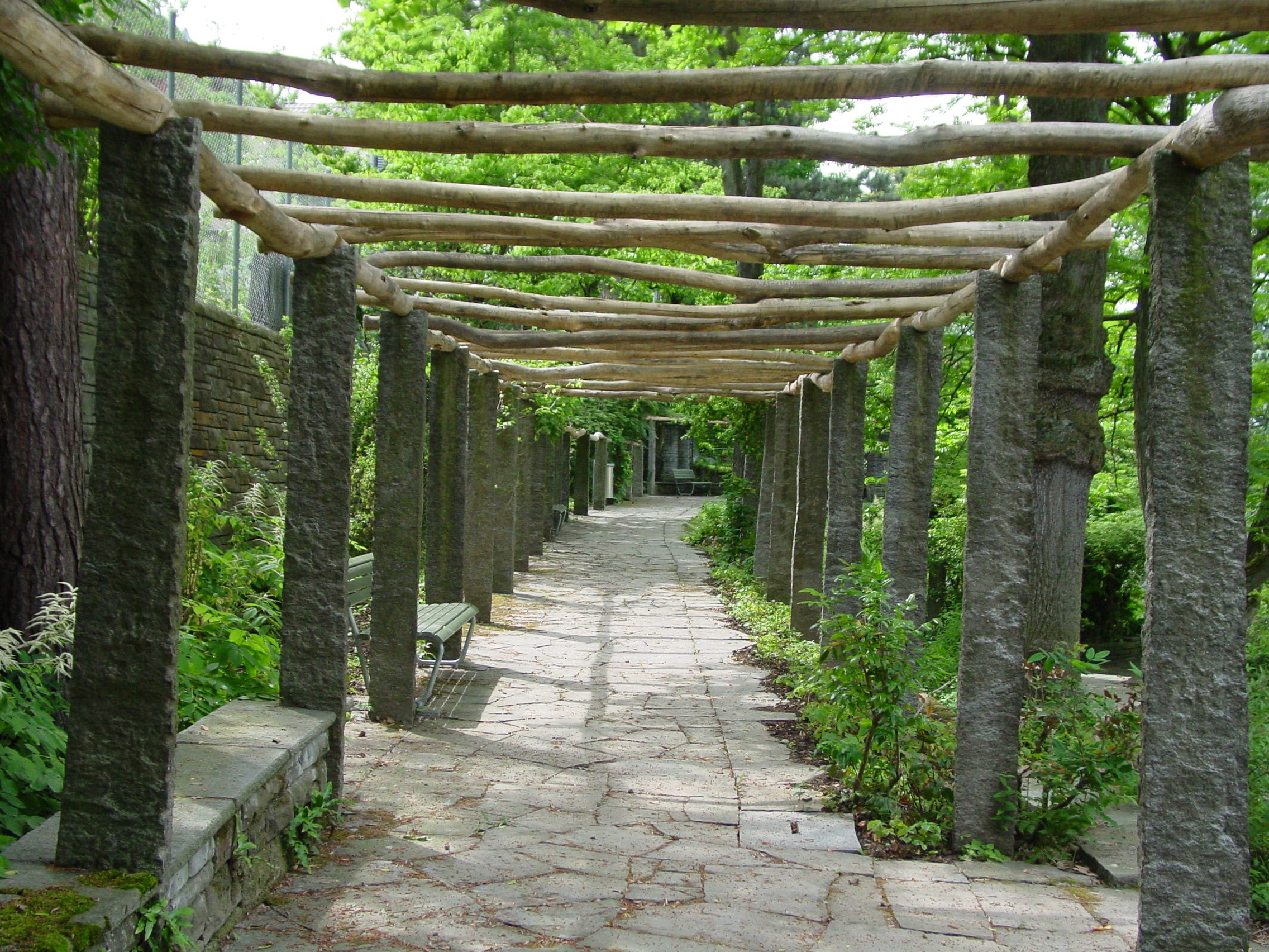 pergola in the garden