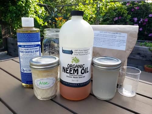 insecticidal soaps for pest control