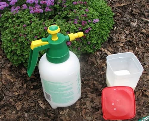insecticidal soaps for pest control