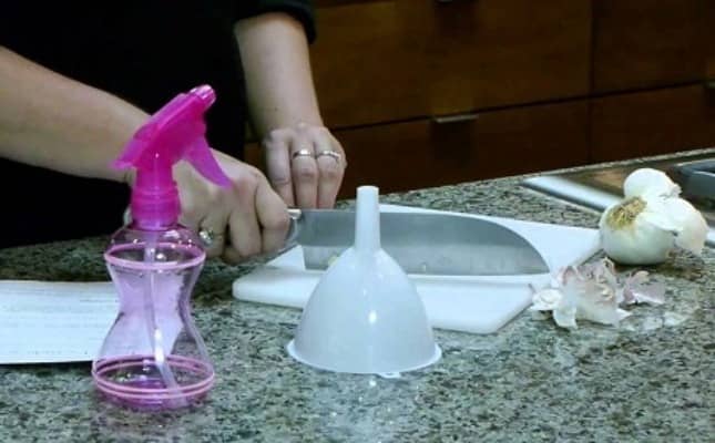 insecticidal soaps for pest control