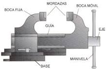 What are the parts of a walrus?