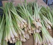 What is lemongrass and what is it used for?