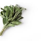 What are bitter herbs?