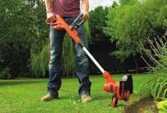 Which brushcutter is good and cheap?