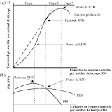 What is the average and marginal total product?