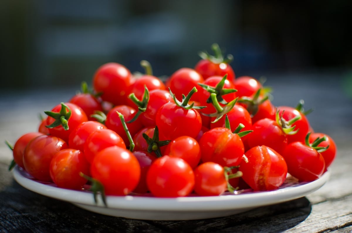 Cherry tomatoes can be grown in containers