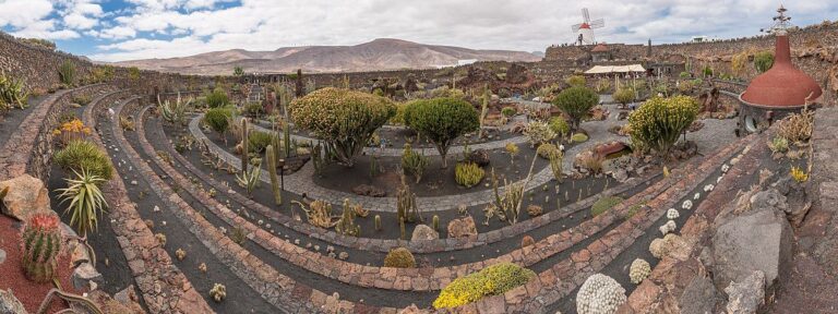 Jard&iacute;n de cactus de Lanzarote