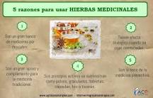 How do medicinal plants contribute to our economy?