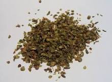 What is fresh oregano called? What is fresh oregano called?