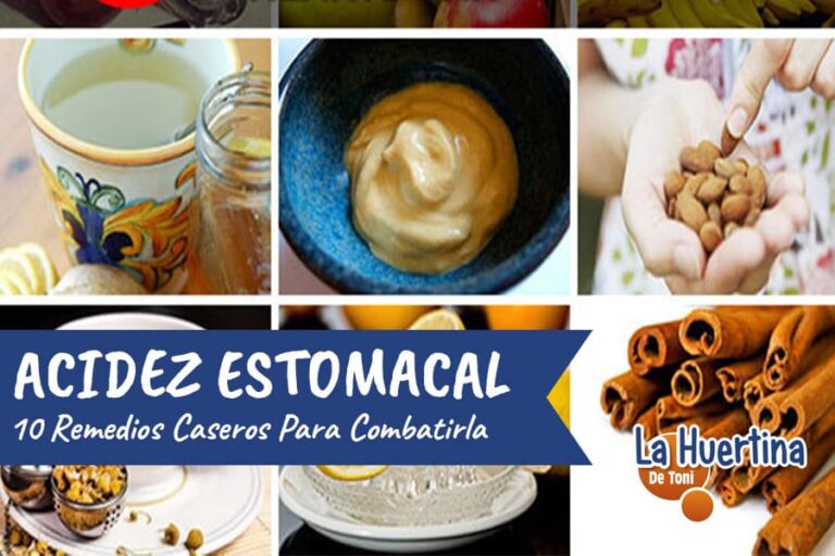 ardor de estomago remedios