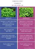 Which is stronger marjoram or oregano? Which is stronger marjoram or oregano?