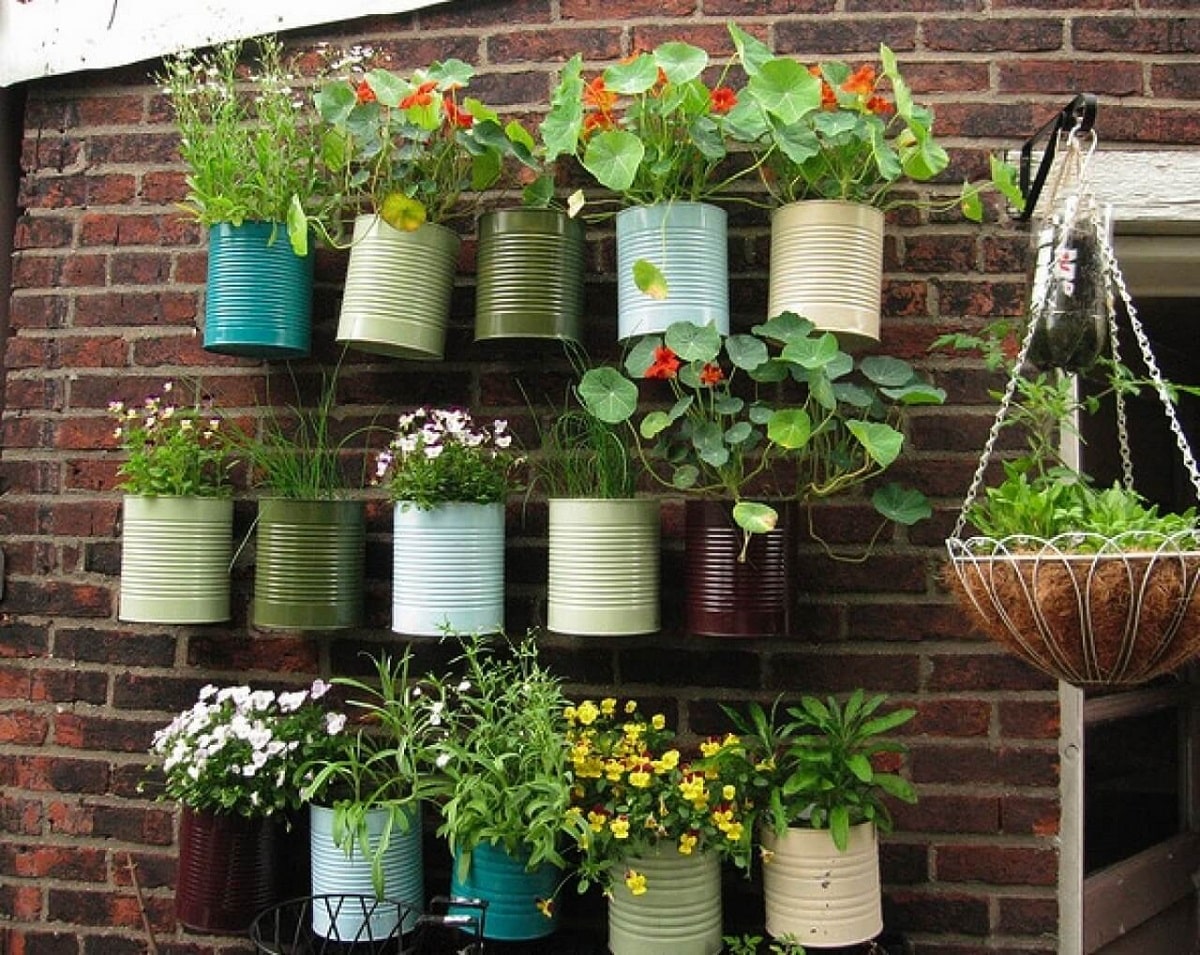 plant a container garden