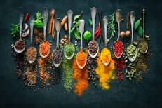 What is the mixture of species called?