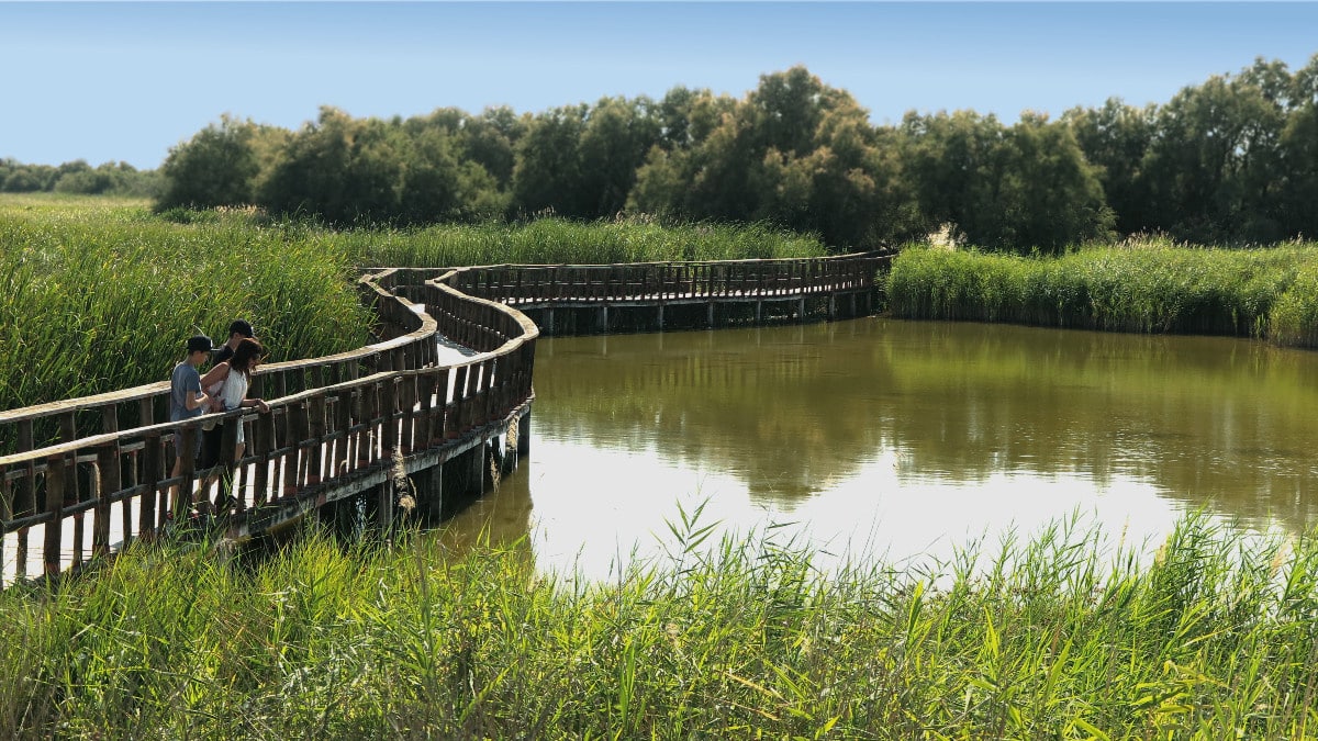 importance of tables of daimiel