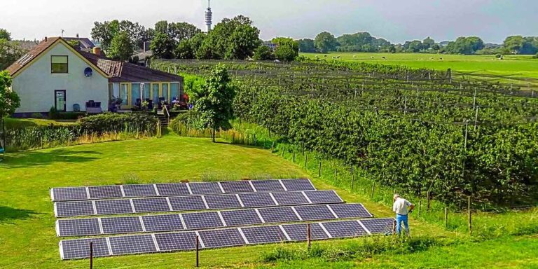 cambio climatico huerto solar