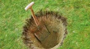 What do you need to plant a tree? What do you need to plant a tree?