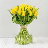 What does the yellow color of tulips mean? What does the yellow color of tulips mean?