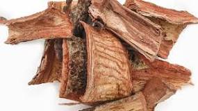 How many diseases does cuachalate cure?