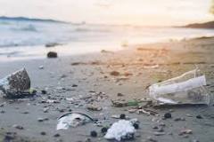 What are the consequences of using disposable products?