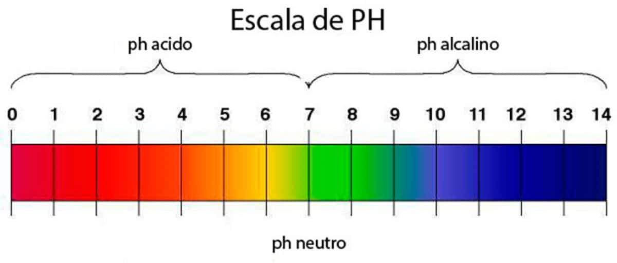 water has a pH