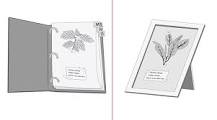 How to make a herbarium at home?