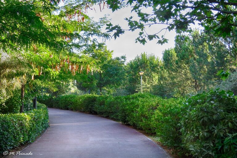 El Jard&iacute;n Bot&aacute;nico Alcal&aacute; de Henares es gratis los viernes hasta las 12:00