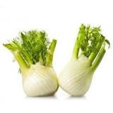 What fruits are bulbs?
