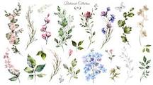 What is the language of flowers?