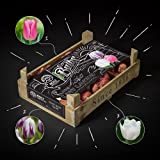 60 tulip bulbs from Olanda - BOLT Amsterdam – 'LOW...