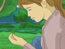 Where is the four leaf clover found?