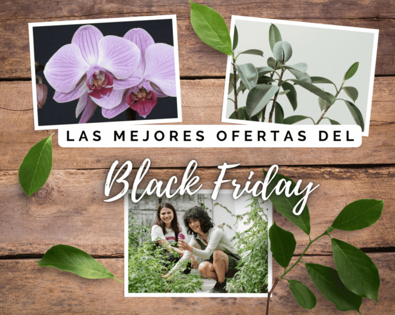 El Black friday tiene ofertas interesantes