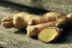 What is a ginger bulb? What is a ginger bulb?