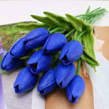 How do blue tulips do?