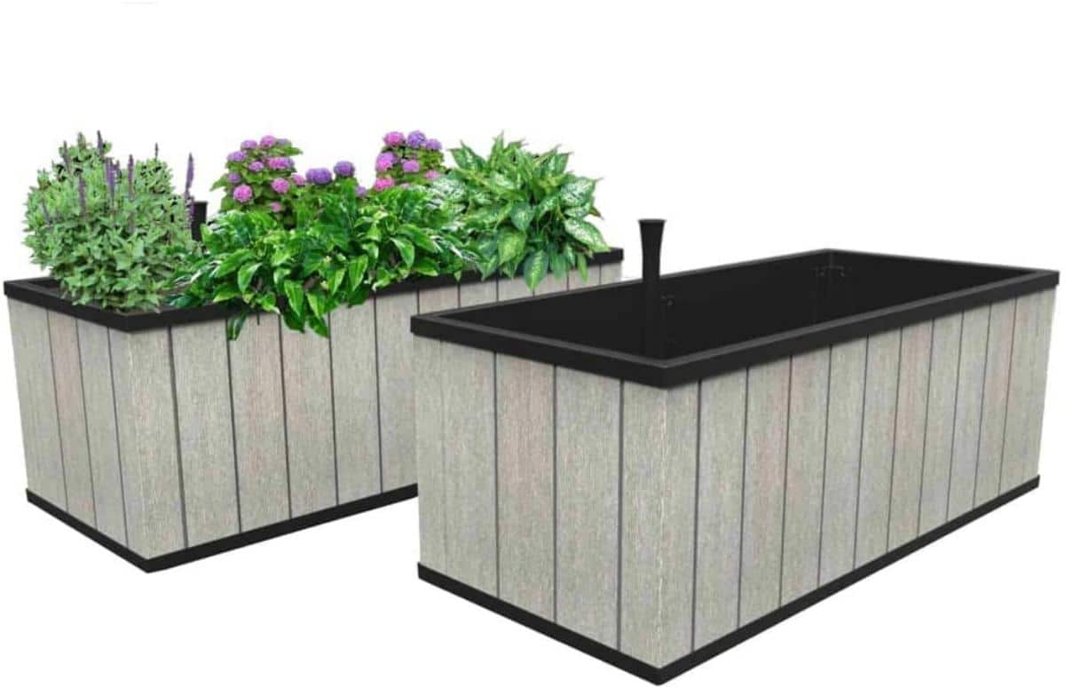 Bougainvillea Planter