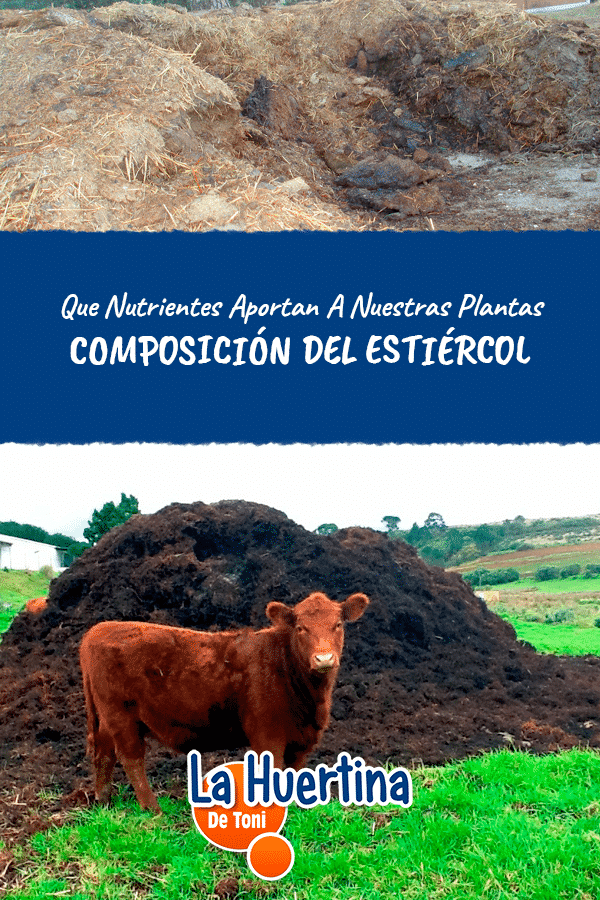 chemical composition of cow dung